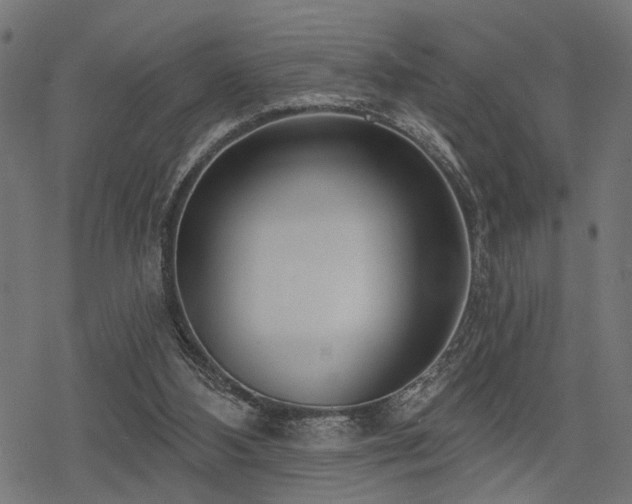 X0000078250108200611031147