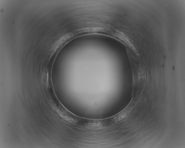 X0000078250110200611031147