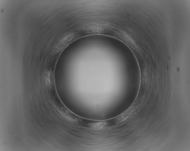 X0000078250122200611031147