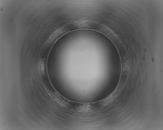 X0000078250124200611031147
