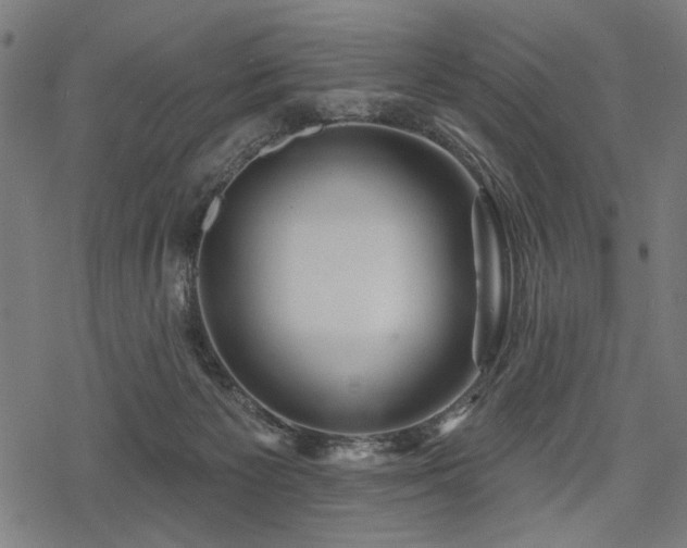 X0000078250125200611031147