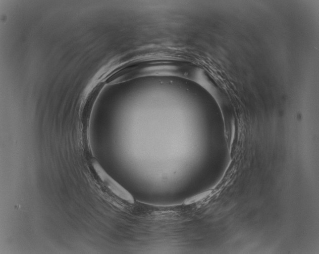 X0000078250150200611031146