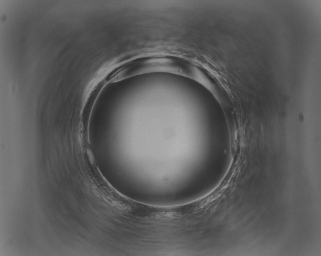 X0000078250152200611031146