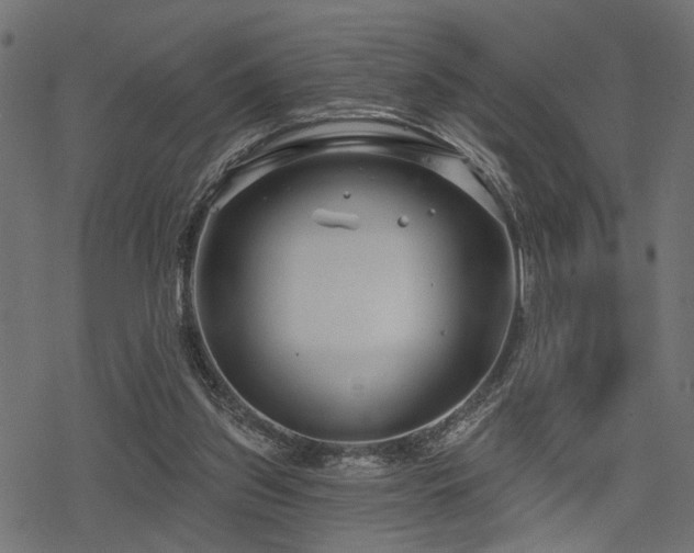 X0000078250157200611031146