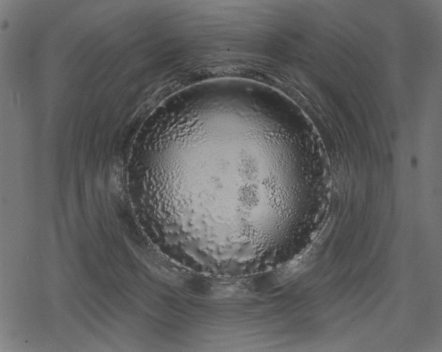 X0000078250175200611031146