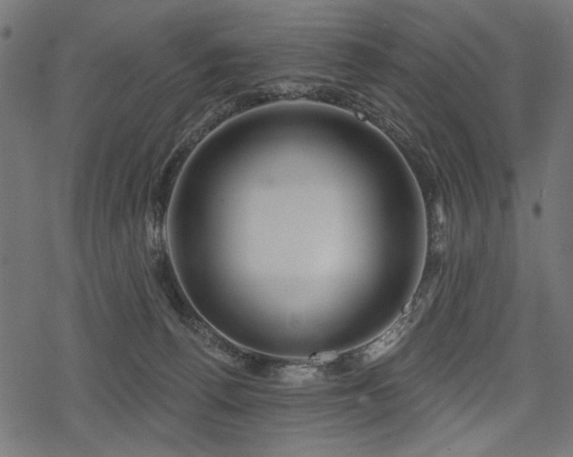 X0000078250176200611031146