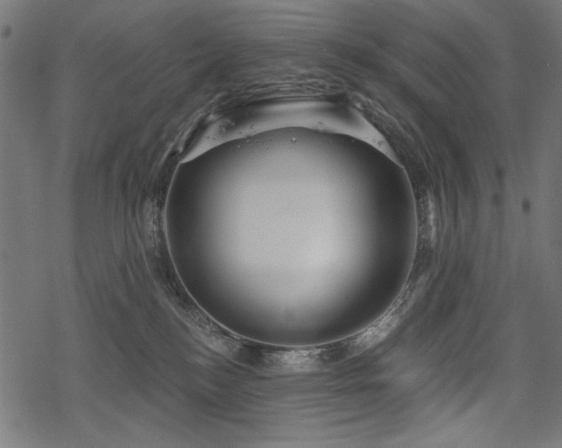 X0000078250184200611031147