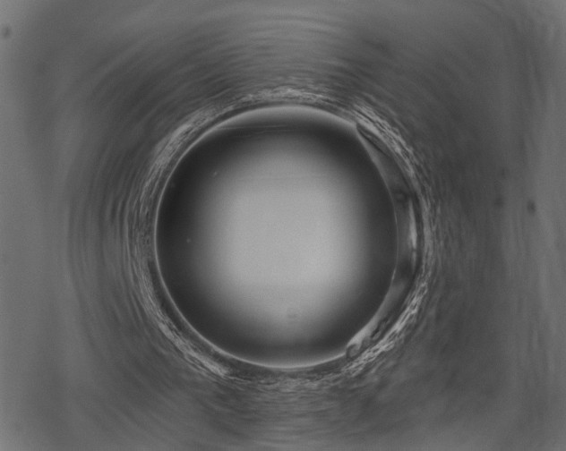 X0000078250193200611031146