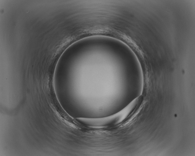 X0000078250201200611031146