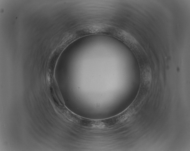 X0000078250214200611031146