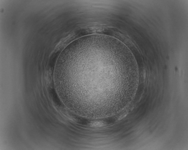 X0000078250218200611031145