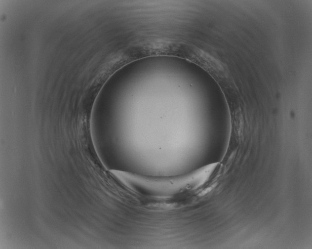 X0000078250225200611031145