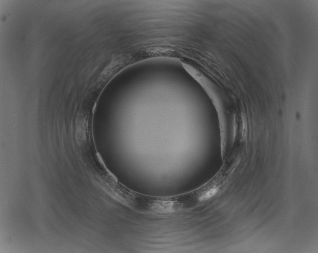 X0000078250227200611031145