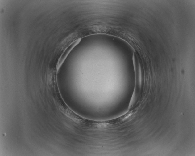 X0000078250233200611031145