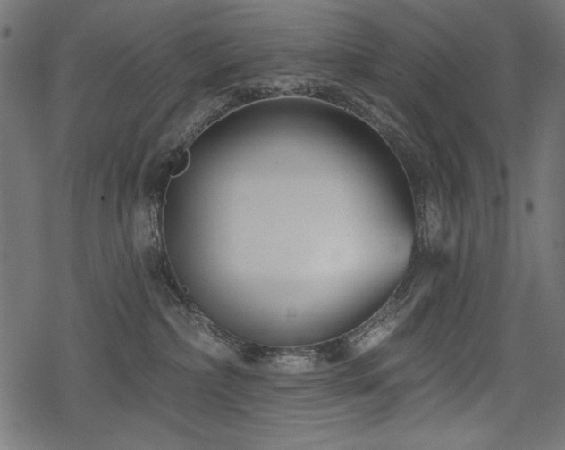 X0000078250236200611031145