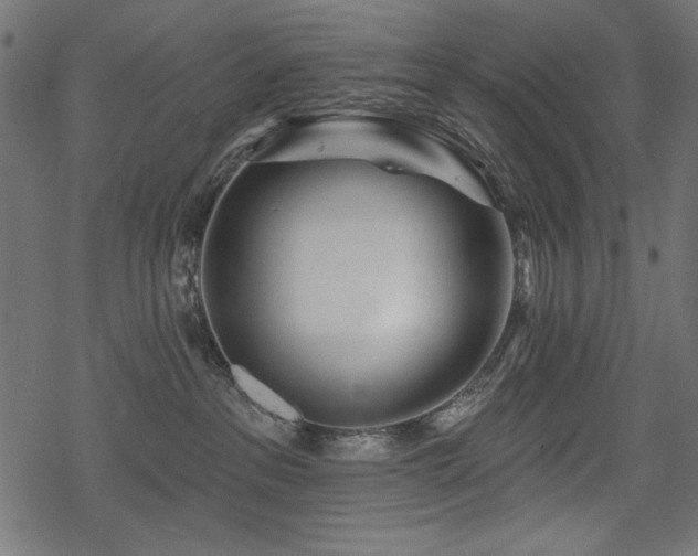 X0000078250237200611031145
