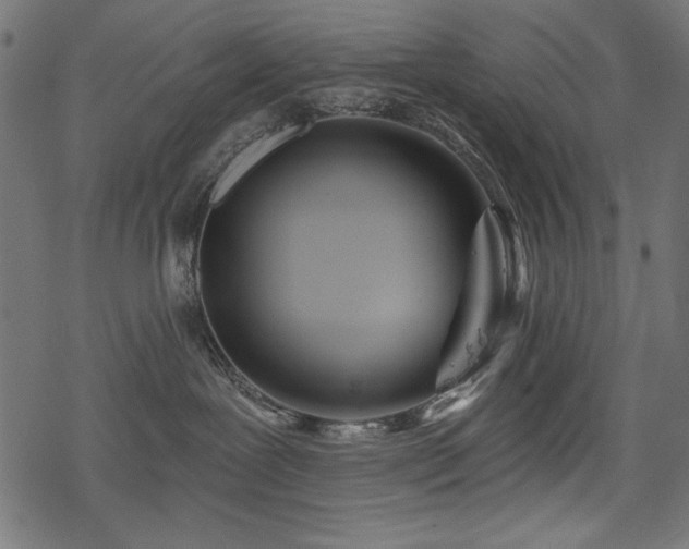 X0000078250239200611031145