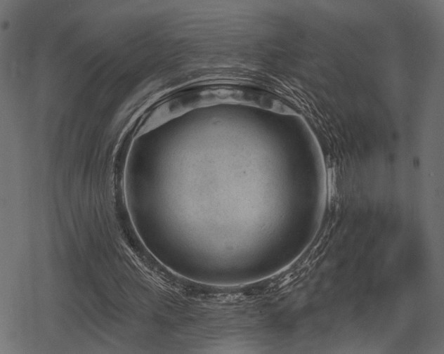 X0000078250243200611031144