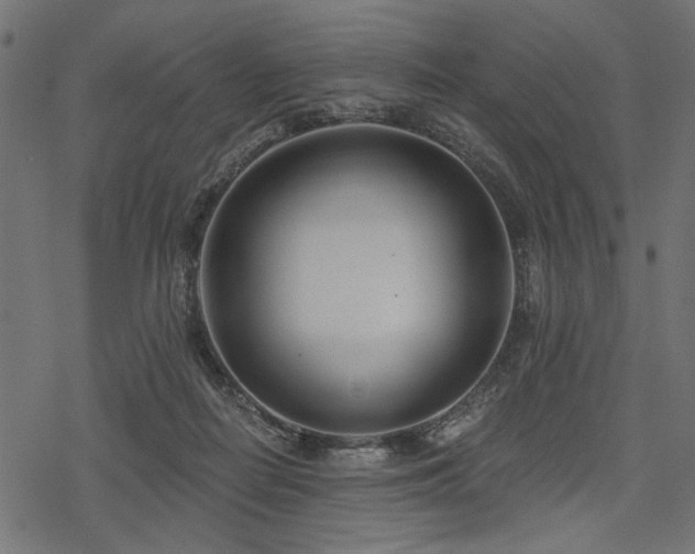 X0000078250266200611031145