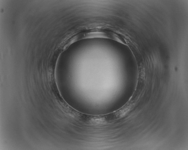 X0000078250283200611031145