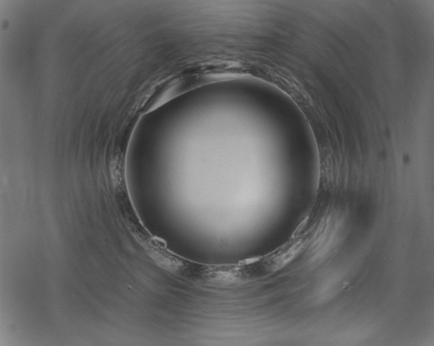 X0000078250285200611031145