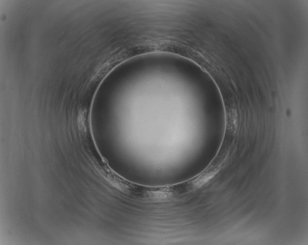 X0000078250286200611031145