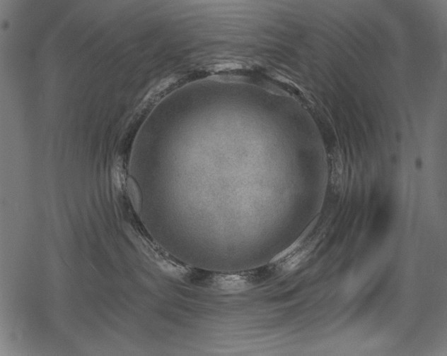 X0000078250287200611031145