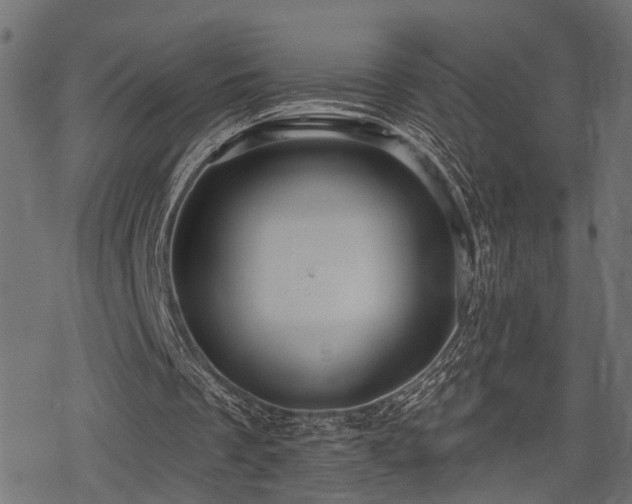 X0000078250289200611031144