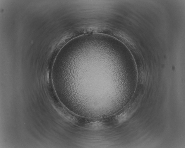 X0000078250310200611031144