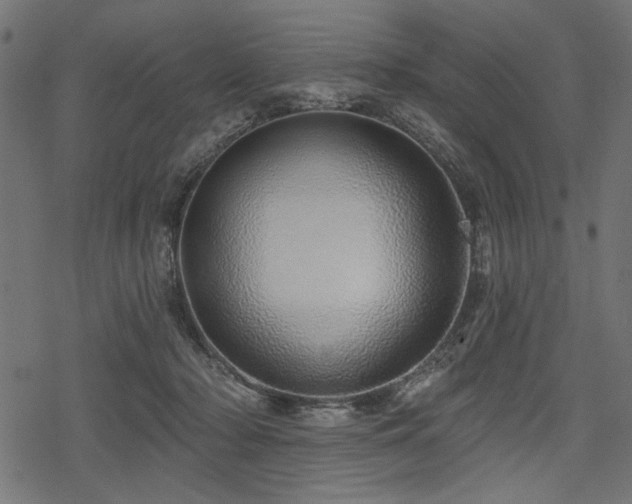 X0000078250318200611031144