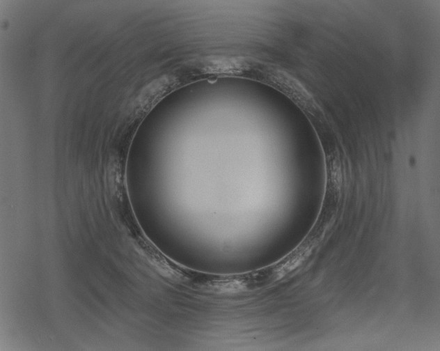 X0000078250322200611031144