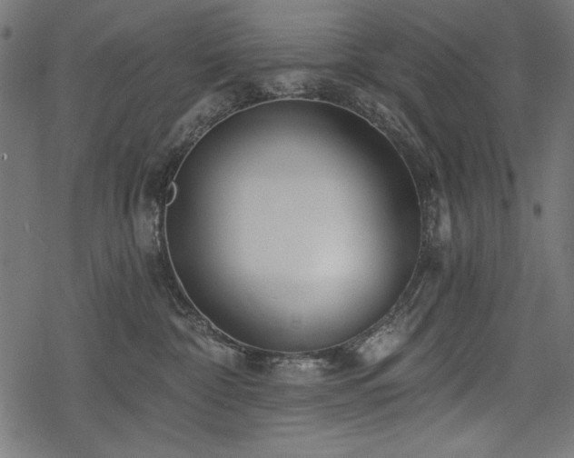X0000078250332200611031144