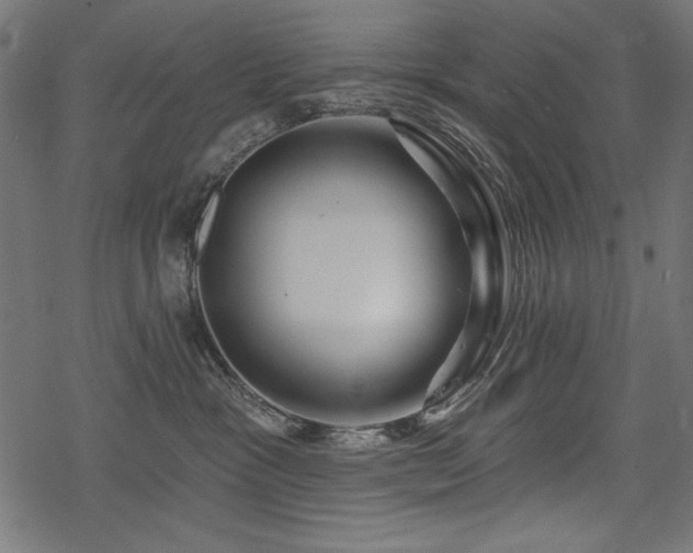 X0000078250333200611031144