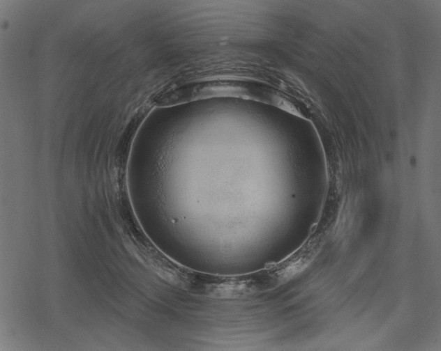 X0000078250366200611031143