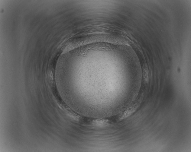 X0000078250375200611031143