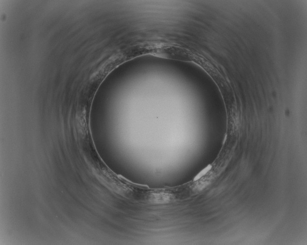 X0000078250376200611031143