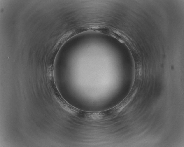 X0000078250383200611031144