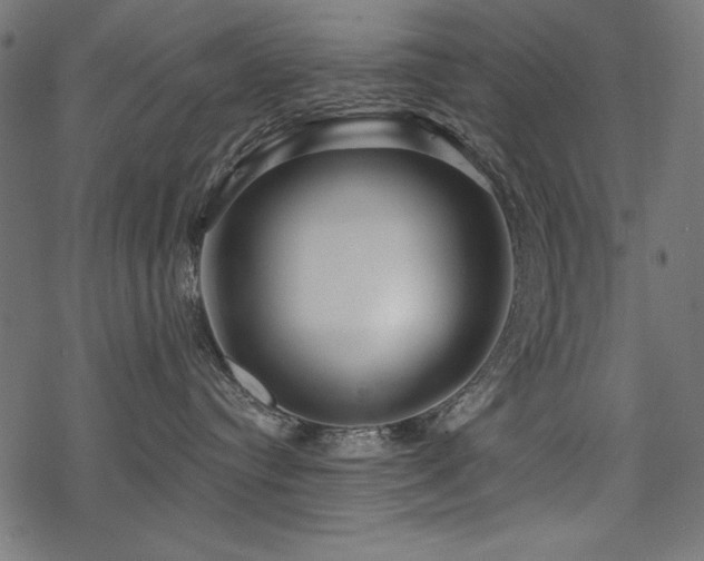X0000078250384200611031144