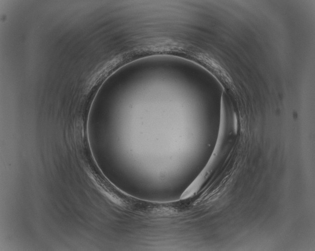 X0000078250397200611031143