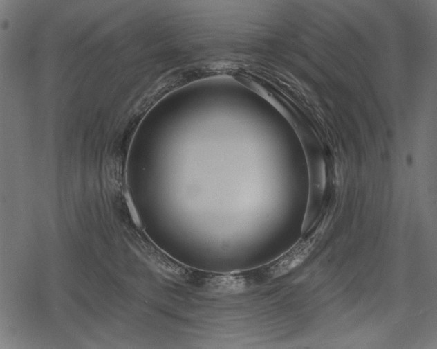 X0000078250421200611031142