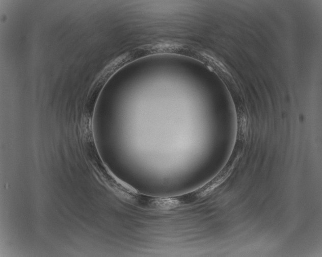 X0000078250429200611031142