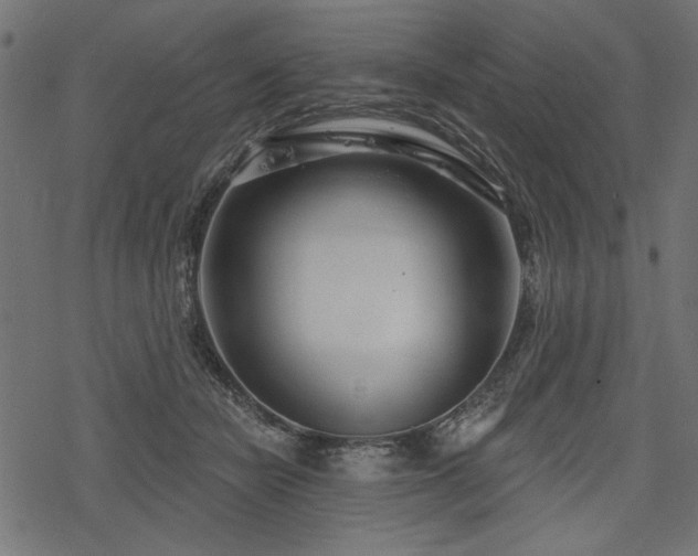 X0000078250462200611031142