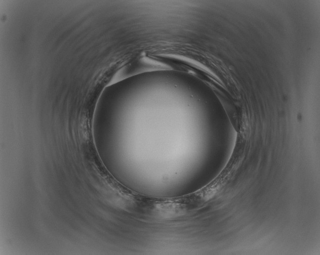 X0000078250470200611031142
