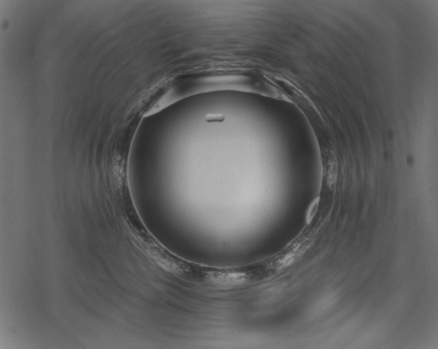 X0000078250476200611031142
