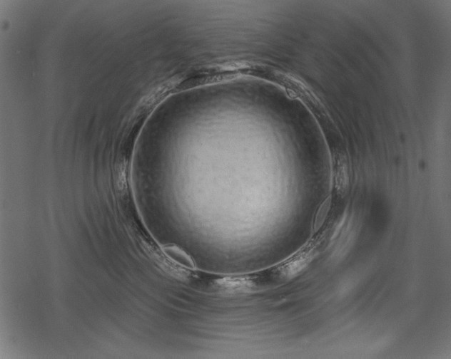 X0000078250477200611031142