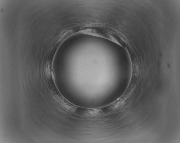 X0000078250479200611031142