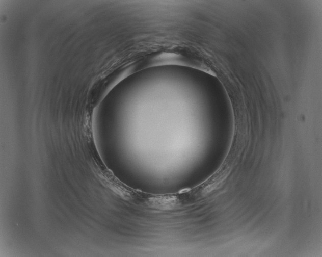 X0000078250480200611031142