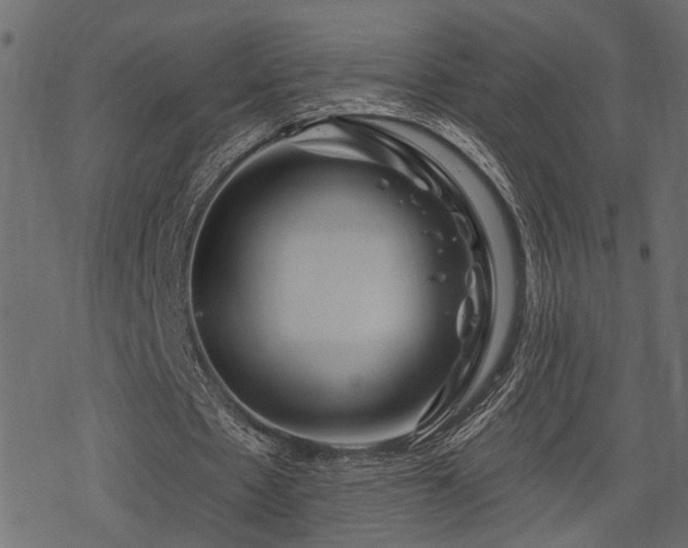 X0000078250481200611031141
