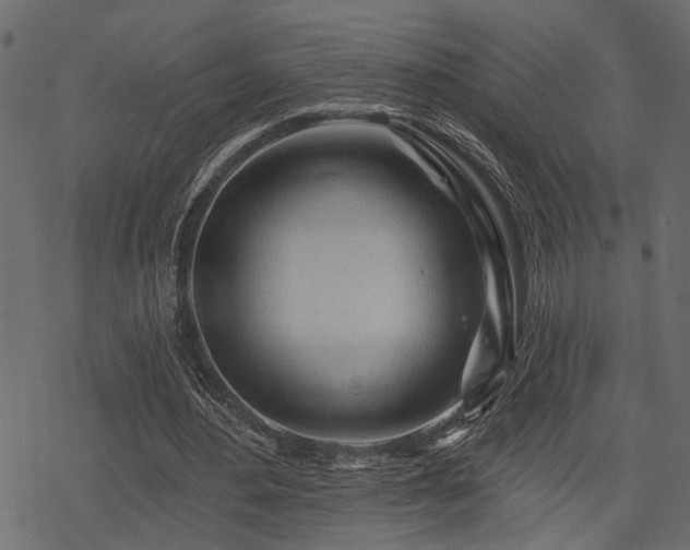 X0000078250484200611031141