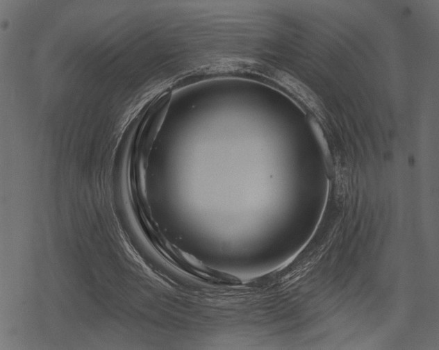 X0000078250485200611031141